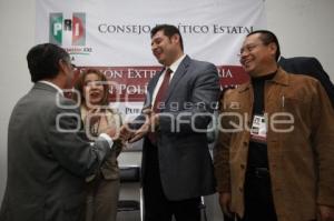 COMISIÓN POLÍTICA PERMANENTE. PRI