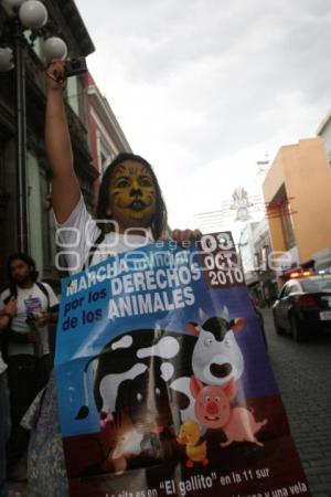 DERECHOS DE ANIMALES - MARCHA