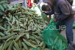 DESCARGA DE CAMION DE ELOTES