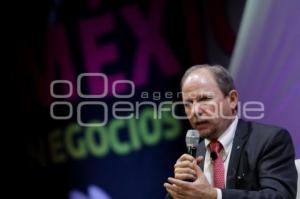 XI CONGRESO DE NEGOCIOS INTERNCAIONALES - THOMAS KARIG- VW