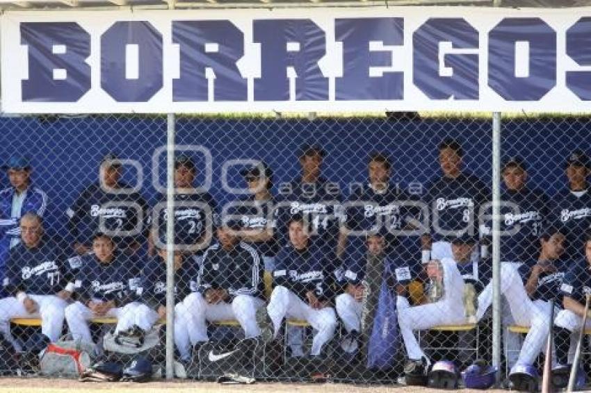 BÉISBOL. TEC VS TEC. CONADEIP