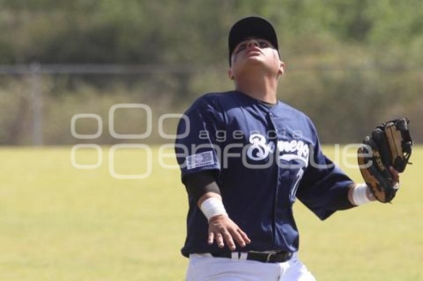 BÉISBOL. TEC VS TEC. CONADEIP