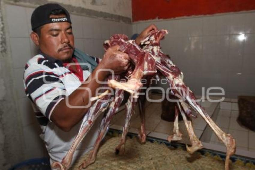 MATANZA EN TEHUACÁN