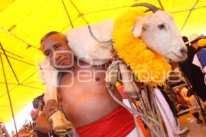 MATANZA EN TEHUACÁN