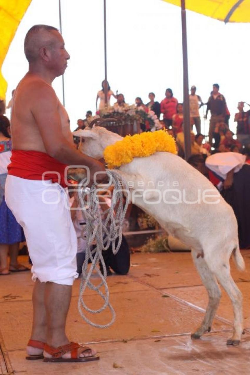 MATANZA EN TEHUACÁN