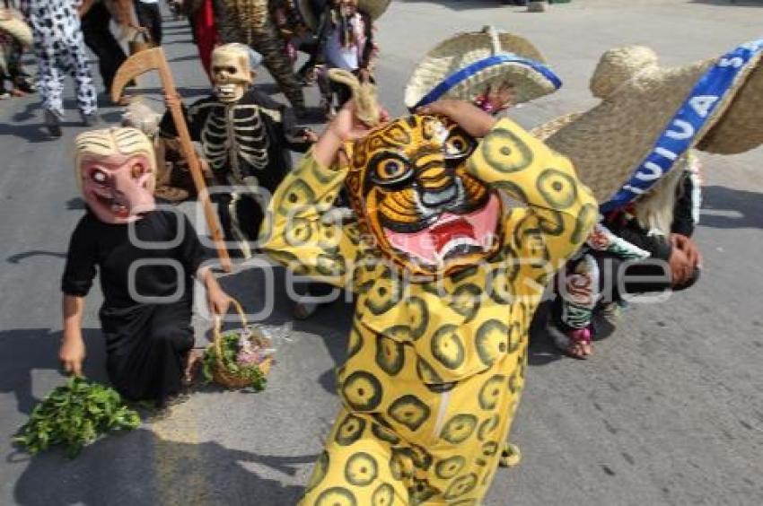 DANZA DE LOS TECUANES