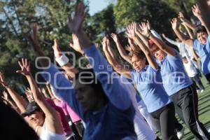 ACTIVACIÓN FÍSICA. CENHCH