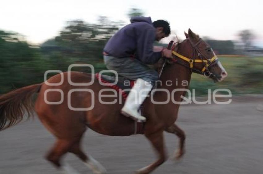 VIDA COTIDIANA . CAMPO