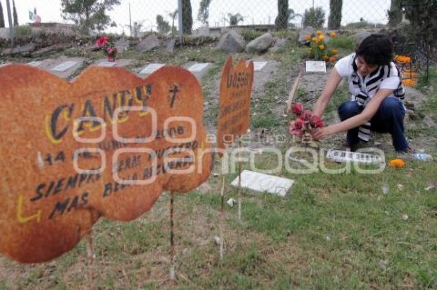 CEMENTERIO PARA MASCOTAS