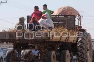 ECONOMÍA . CAMPO