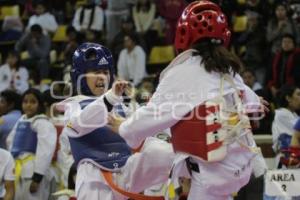 TORNEO TAEKWONDO