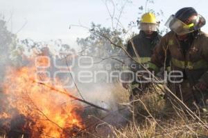 INCENDIO EN TERRENO BALDIO