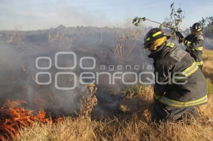 INCENDIO EN TERRENO BALDIO