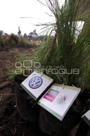 REFORESTACION PROVEDORES VOLKSWAGEN - PARQUE IZTA-POPO