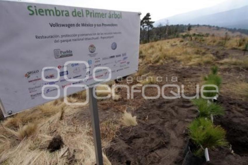 REFORESTACION PROVEDORES VOLKSWAGEN - PARQUE IZTA-POPO