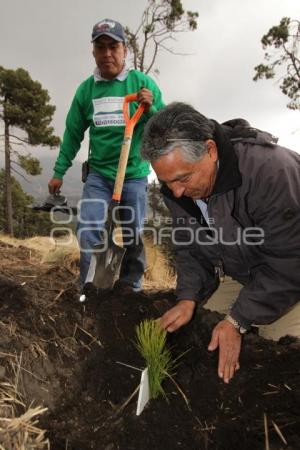 REFORESTACION PROVEDORES VOLKSWAGEN - PARQUE IZTA-POPO