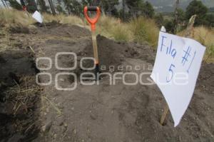 REFORESTACION PROVEDORES VOLKSWAGEN - PARQUE IZTA-POPO