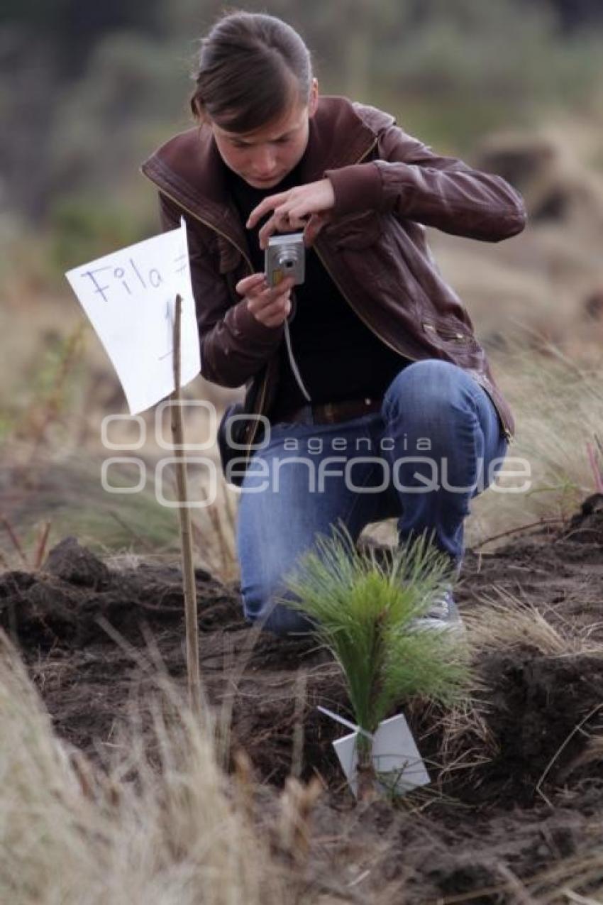 REFORESTACION PROVEDORES VOLKSWAGEN - PARQUE IZTA-POPO