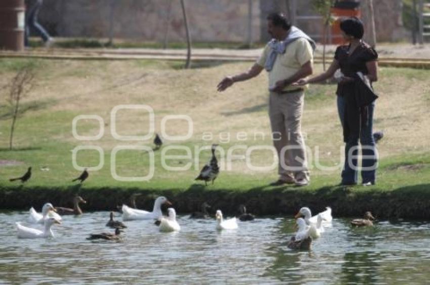 PARQUE ECOLOGICO