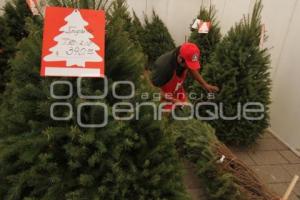 FERIA DEL ARBOL NAVIDEÑO