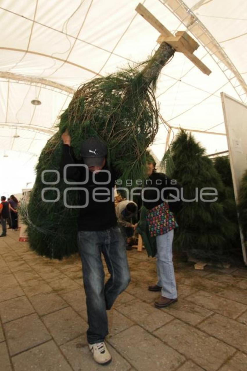 FERIA DEL ARBOL NAVIDEÑO