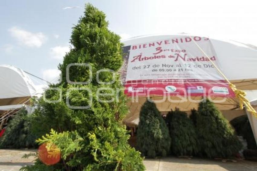 FERIA DEL ARBOL NAVIDEÑO