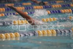 CAMPEONATO DE NATACION - ACUATICA NELSON VARGAS