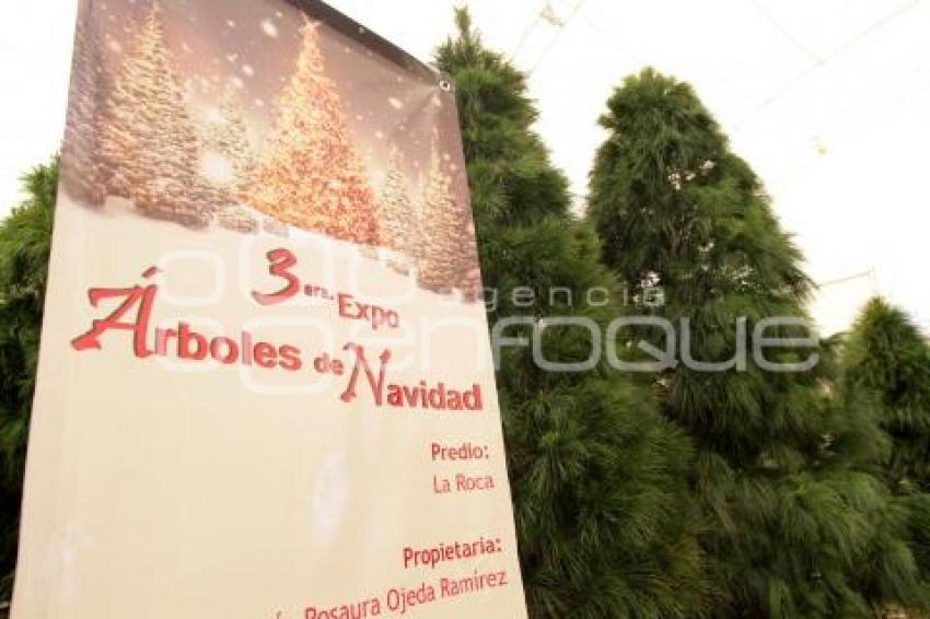 FERIA DEL ARBOL NAVIDEÑO