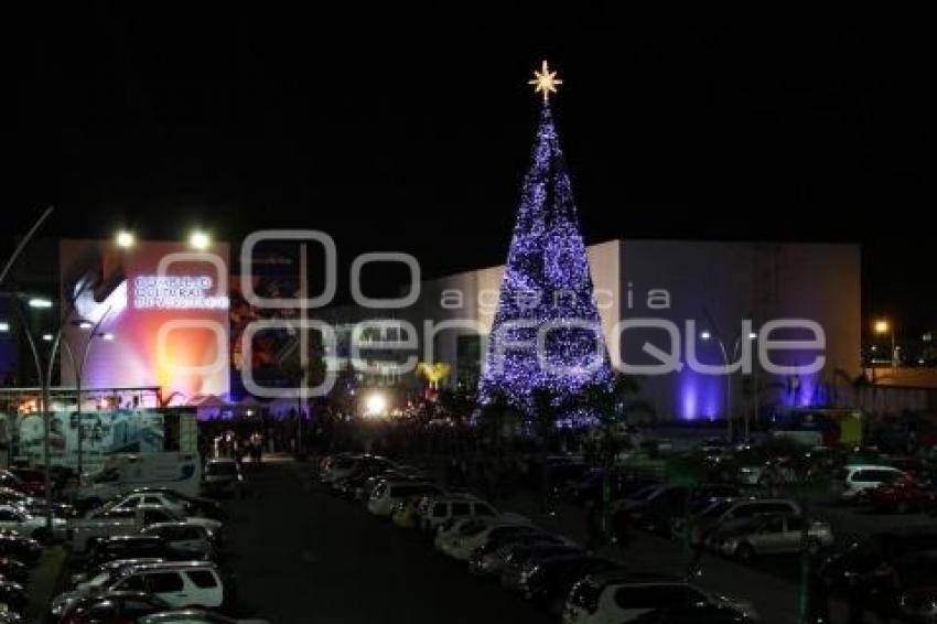 ENCENDIDO DE ARBOL NAVIDEÑO EN CCU