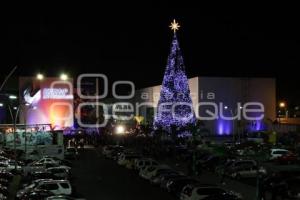 ENCENDIDO DE ARBOL NAVIDEÑO EN CCU