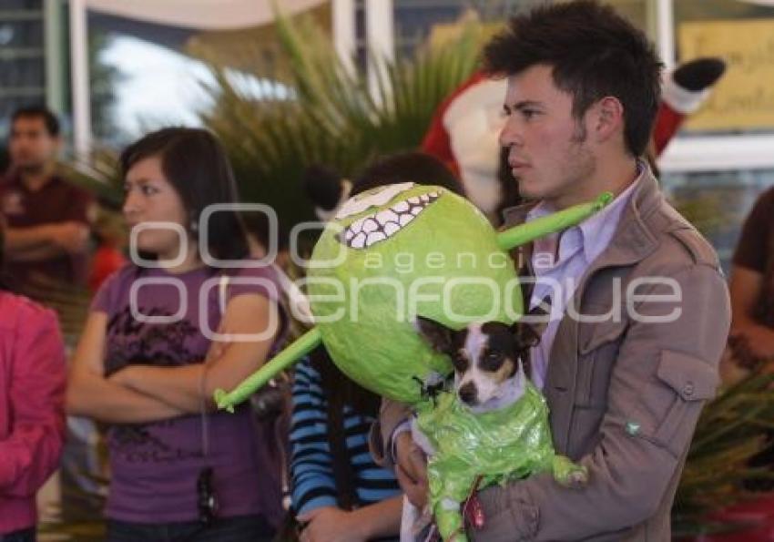 FERIA DE LA MASCOTA