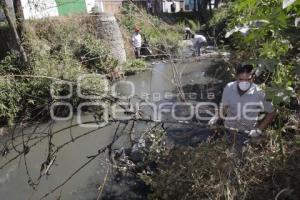 ECOLOGÍA . LIMPIEZA RÍO RABANILLO