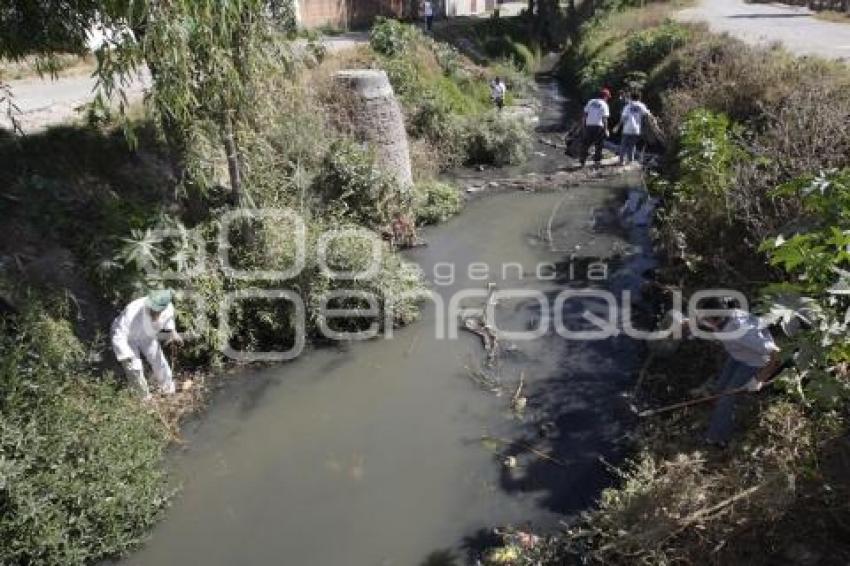 ECOLOGÍA . LIMPIEZA RÍO RABANILLO