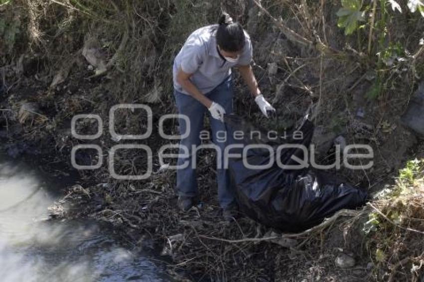 ECOLOGÍA . LIMPIEZA RÍO RABANILLO