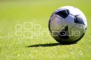 FÚTBOL . TORNEO CLAUSURA 2011