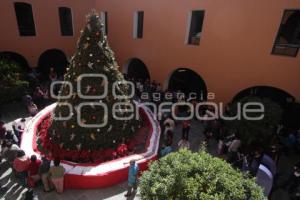 ROSCA DE REYES MUSEO AMPARO