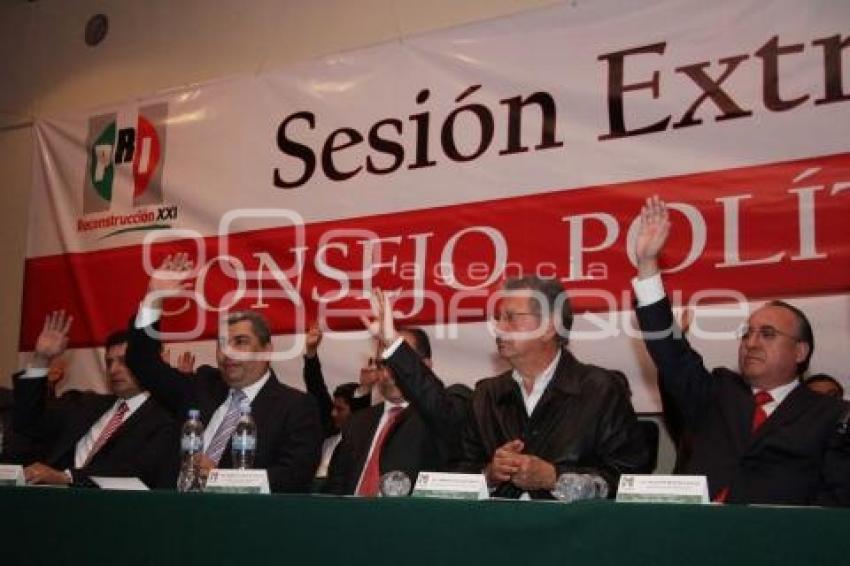 SESION EXTRAORDINARIA DEL CONSEJO POLITICO DEL PRI