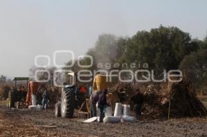 TRABAJADORES DEL CAMPO