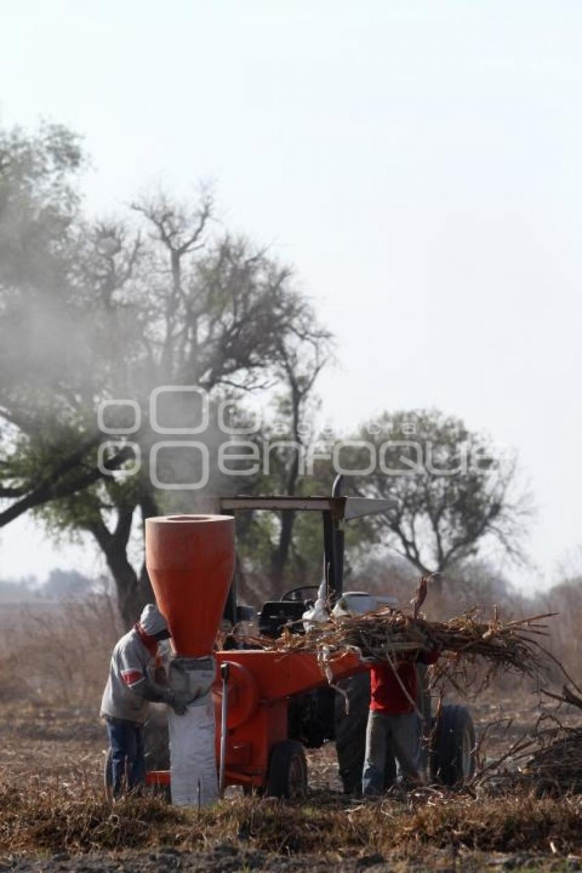 TRABAJADORES DEL CAMPO