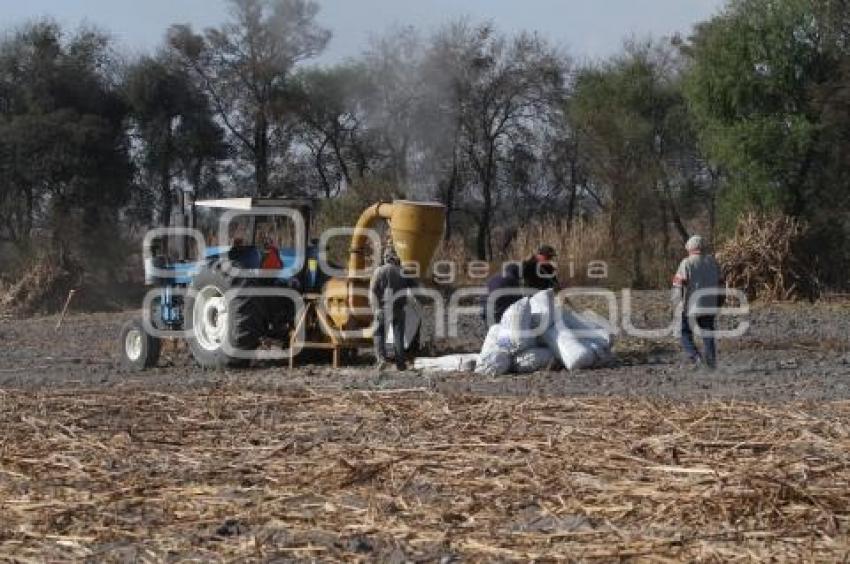 TRABAJADORES DEL CAMPO