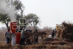 TRABAJADORES DEL CAMPO