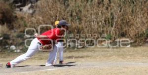 BÉISBOL AMATEUR