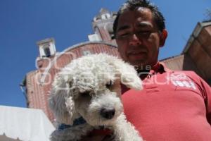 BENDICIÓN DE MASCOTAS. TEMPLO SAN ANTONIO