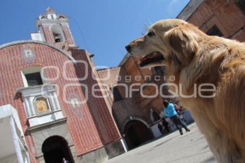 BENDICIÓN DE MASCOTAS. TEMPLO SAN ANTONIO