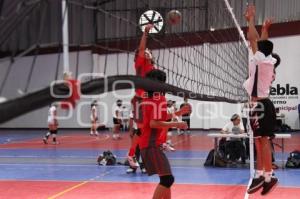 TORNEO MUNICIPAL DE VOLEIBOL