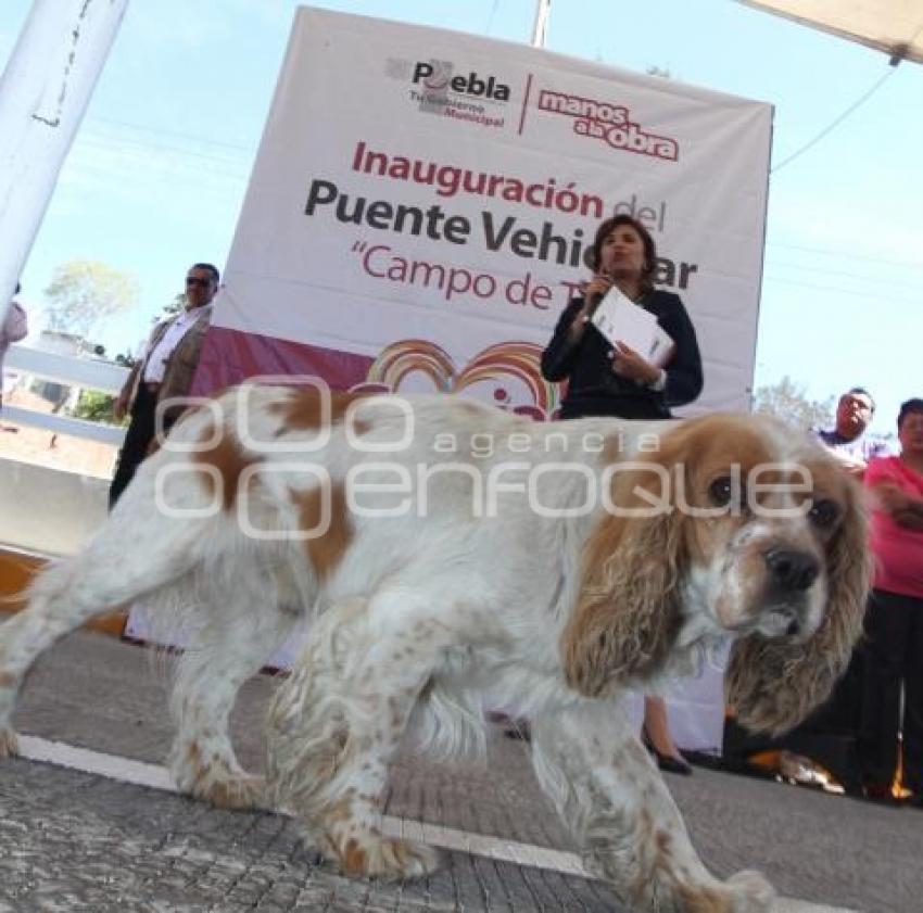 AYUNTAMIENTO - OBRA