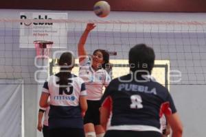 TORNEO MUNICIPAL DE VOLEIBOL