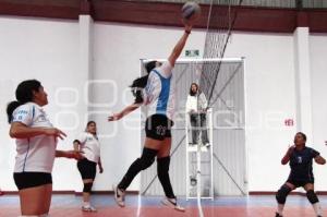 TORNEO MUNICIPAL DE VOLEIBOL