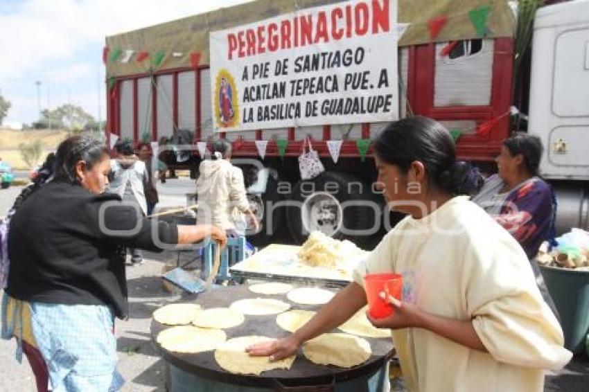 PEREGRINACIÓN A LA BASÍLICA DE GUADALUPE