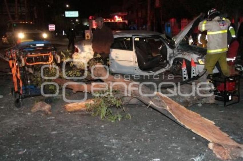 PRENSADOS EN PROLONGACION DE LA REFORMA